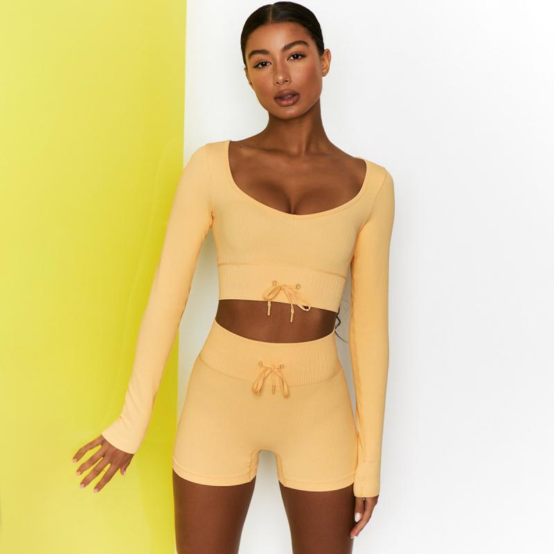 High Waist Seamless Yoga Set Women Two Piece
