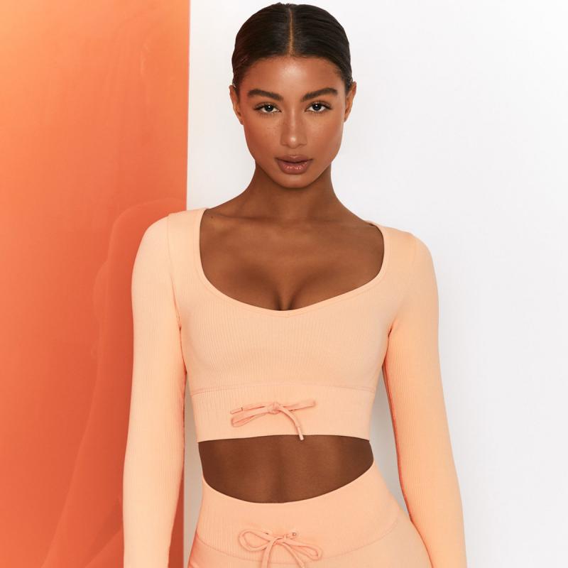 High Waist Seamless Yoga Set Women Two Piece