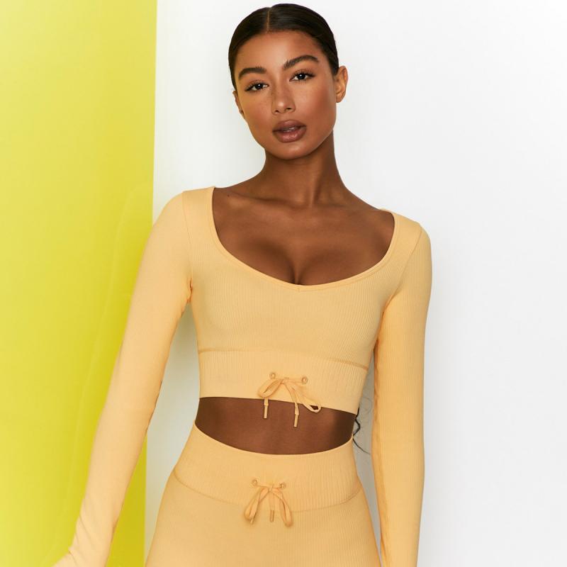 High Waist Seamless Yoga Set Women Two Piece