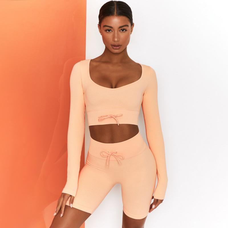 High Waist Seamless Yoga Set Women Two Piece